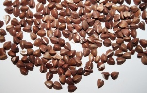 how to lose weight on a buckwheat diet